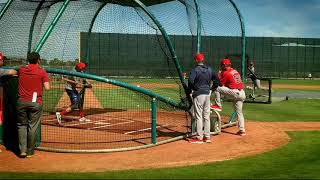 CJ Chatham Boston Red Sox top shortstop prospect takes BP at spring training 2019 [upl. by Biamonte334]