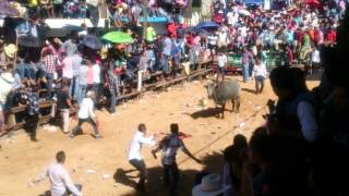 Santiagada Santiago Tulantepec como Pamplonada en España [upl. by Eigriv503]