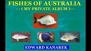 FISHES OF AUSTRALIA   My private album [upl. by Litton]