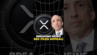 Breaking News SEC vs Ripple case ruling appeal official 🤯🫣 crypto xrp xrpnews ripple [upl. by My]