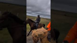 shorts ridingiceland horse iceland horseriding asmr [upl. by Godewyn]