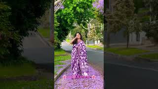 🌸 JACARANDA 🌸 trend trending viralshort youtube youtubeshorts viralshorts viralvideo [upl. by Harper895]