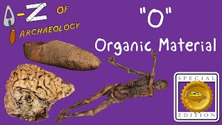 AZ of Archaeology O  Organic Material Special Edition [upl. by Timmons]