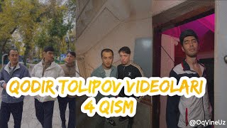 🔥Qodir Tolipov Vinelar Toplami 4Qism ｜ Yangi Vaynlar ｜ Instagram Videolar 2024 [upl. by Nicolette]