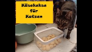 Selbstgemachte Käsekekse für Katzen brigittebaresfg3lv [upl. by Assirram166]