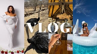 VLOG  Life update QampA  A day in the wilderness  more surprises [upl. by Irotal361]