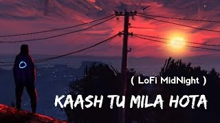 Kaash Tu Mila Hota Slowed  Reverb LoFi MidNight  Jubin Nautiyal  Lyrics  Musical Reverb [upl. by Achilles342]