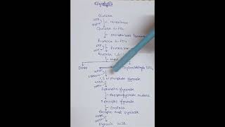 76 Glycolysis biology pharmacy science study glucose glycolysis [upl. by Ennaed]