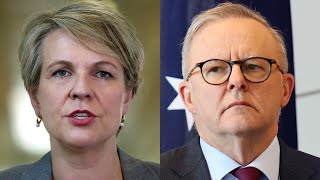 Unlikely Albanese will ‘chastise’ Plibersek in ‘any forum’ [upl. by Nohsyar]