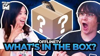 OFFLINETV WHATS IN THE BOX CHALLENGE [upl. by Soisatsana]