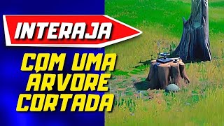 INTERAJA COM UMA ÁRVORE CORTADA NO BOSQUE CHOROSO FORTNITE [upl. by Herra]