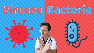 Bacteria vs viruses  What are the differences  Doctor Explains [upl. by Pace538]