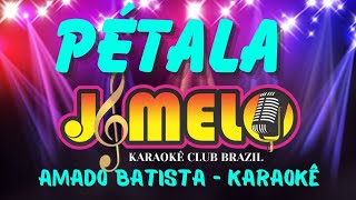 AMADO BATISTA  PETALA  KARAOKE [upl. by Durrell]