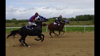 El Pelos Gueros vs El JM  275 yds  Octubre 20 2024  1015 Victoria Race Park [upl. by Magner]