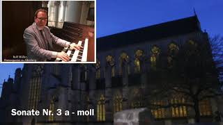 Altenberger Domorgel AG Ritter Sonate Nr 3 a  Moll [upl. by Adelric]