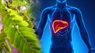 Liver Formula NEW IMPROVED why your liver is SO important [upl. by Ezarras]