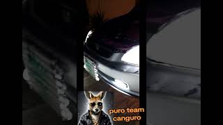 Team canguro canguro canguros mexico hondacivic meme memes [upl. by Elaynad36]