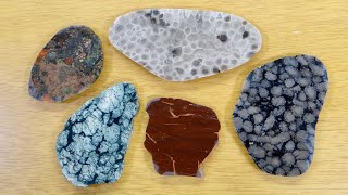 Slabbing Michigan Rocks  Rhyolite Petoskey Gowganda Tillite Cladopora and a Green Rock [upl. by Cirre]