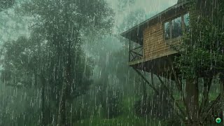 Pluie Relaxante pour Dormir en 3 Minutes  Son de Pluie pour se Détendre et Améliorer linsomnie [upl. by Alehc]