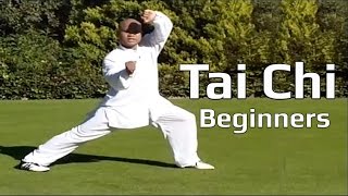 Tai chi chuan for beginners  Taiji Yang Style form Lesson 8 [upl. by Namus]