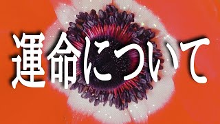 【朗読】【小説】【オーディオブック】【女性朗読】大人のための耳で聞く小説「運命について」尾崎士郎 [upl. by Ahsak511]