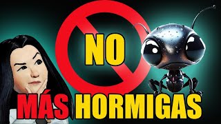 🐜ELIMINA las HORMIGAS de TU CASA 🏡 con PRODUCTOS NATURALES ¡FUNCIONA insectos hormigas [upl. by Nomi]