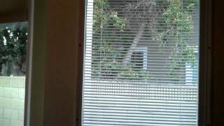 How to Install Internal Blinds over existing door windows [upl. by Atilek]