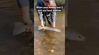 Another steelhead 🎣 fishing funny steelhead trout adventure travel [upl. by Heinrik]