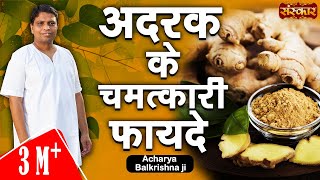 अदरक के चमत्कारी औषधीय गुण  Adrak Ke Fayde  Acharya Balkrishna Ayurveda In Hindi  Sanskar TV [upl. by Kerad]