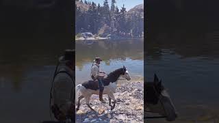 CAÇANDO A SUSSUARANA  RED DEAD REDEMPTION 2 shorts [upl. by Eiliah368]