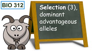 Selection 3 dominant advantageous alleles [upl. by Joell93]