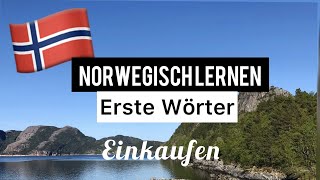 Norwegisch Lernen Erste WörterEinkaufen  Norwegische Sprache  BegrüßungAbschied  Norwegischkurs [upl. by Madelle]