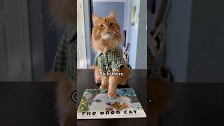 10 OFF our 2025 calendar until tomorrow Code BOOKMAKER10 🧡 Link in description catsofshorts [upl. by Kallista]