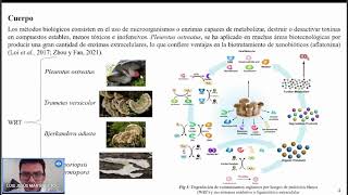 ENZIMAS LIGNINOLÍTICAS DE HONGOS DE PUDRICIÓN BLANCA COMO PROTAGONISTAS EN LA BIOREMEDIACIÓN [upl. by Argus199]