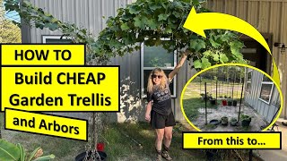 CHEAP Garden Trellis amp Arbors diygarden gardeningideas [upl. by Catlee]