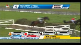 2015 RIVERTON Races NZ  109 th Great Western Steeplechase [upl. by Cordelia]