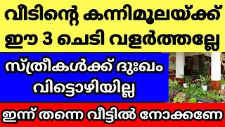 വീടിന്റെ കന്നിമൂലയ്ക്ക് ചെടികൾ നട്ടിട്ടുള്ളവർ അറിയണം ഈ വലിയ സത്യം തെറ്റ് പറ്റല്ലേ വലിയ ദോഷം [upl. by Adiuqram974]