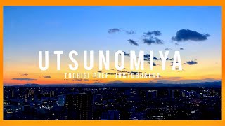 PVUTSUNOMIYA [upl. by Tilford]