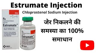 Estrumate Injection Uses जेर निकलने की समस्या का 100 समाधान Chloprostenol sodium injection [upl. by Nitsed]