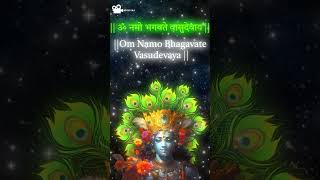 Powerful Good Morning mantra 🌞 Vishnu Mantra Om Namo Bhagwate Vasudevaya vishnumantra shorts [upl. by Ramilahs]