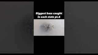 biggest bass in each state youtubeshorts viral 😳 [upl. by Anilatac]