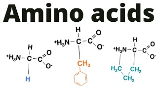 Classification of Amino acids memorize [upl. by Dewhurst]