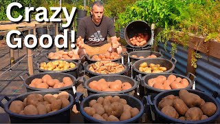 I Grew 450 lbs Of Potatoes The Lazy Way Never Dig Again [upl. by Atlante384]