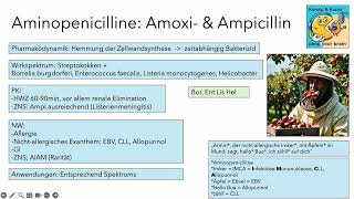 Karolyi und Kuran  Aminopenicilline [upl. by Shannah]