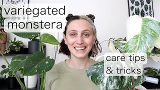 VARIEGATED MONSTERA CARE  Monstera Albo Care Tips amp Tricks [upl. by Adnorat908]