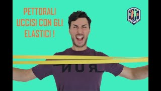 Alleniamo i pettorali con gli elastici [upl. by Verneuil]