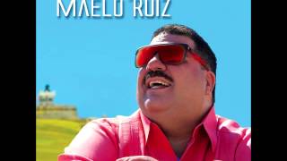 Maelo Ruiz  Te propongo 2014 [upl. by Seafowl]