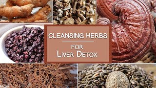 Cleansing Herbs for the Liver and More  Healing Herbs for Detoxification [upl. by Arola]