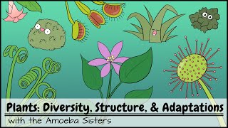 Plants Diversity Structure amp Adaptations [upl. by Koller]