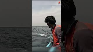 Deep Sea Fishing for King Fish fishing fishingvideo fishingtime [upl. by Aiciram]